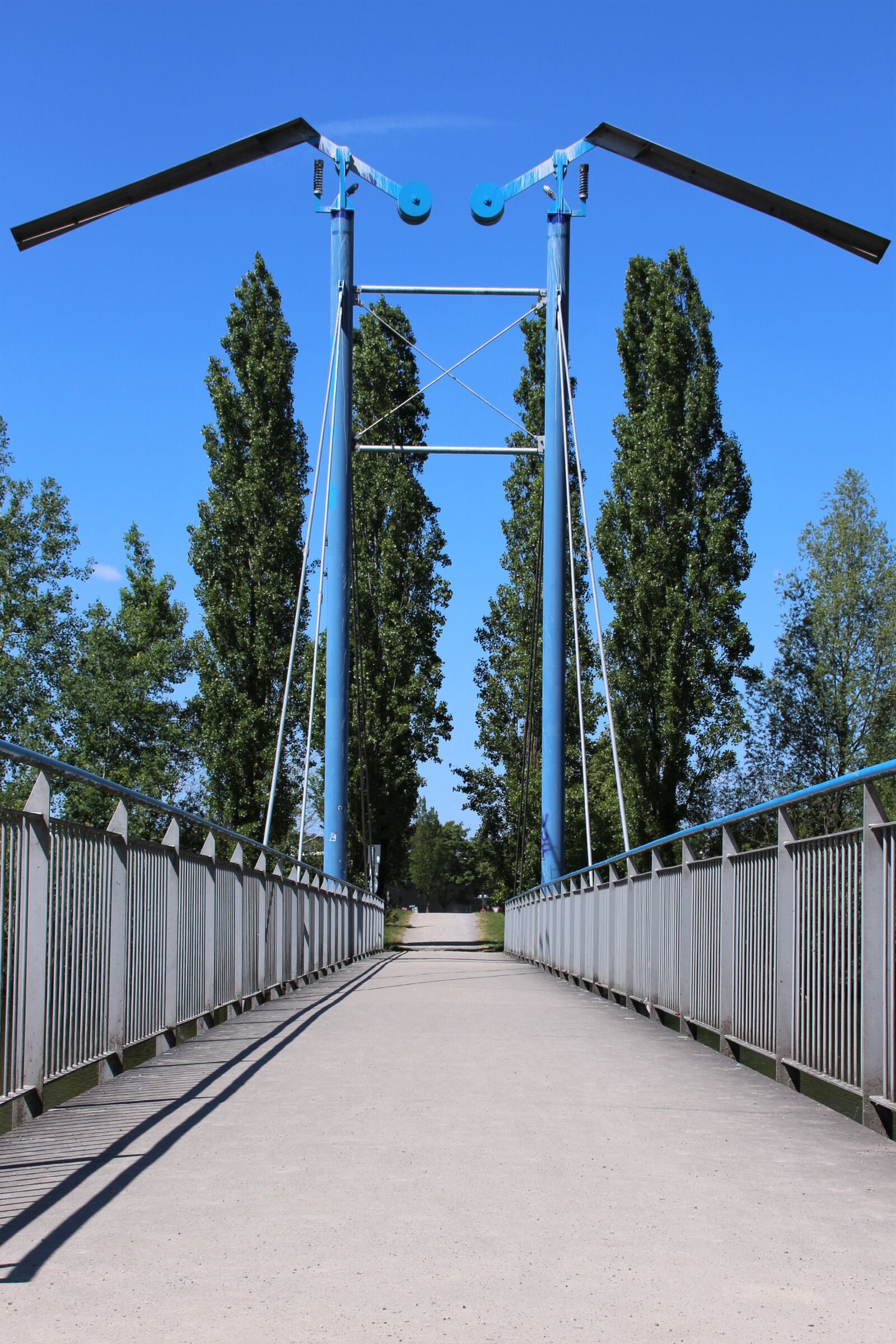 Canon EOS 700D (EOS Rebel T5i / EOS Kiss X7i) sample photo. Bridge, hattingen, bird photography