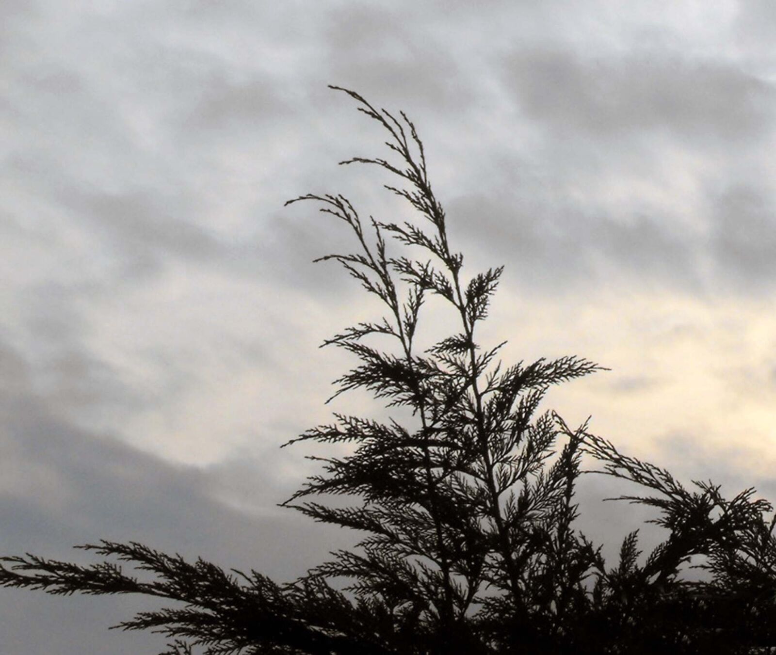 Fujifilm FinePix S1000fd sample photo. The sky, sky, clouds photography