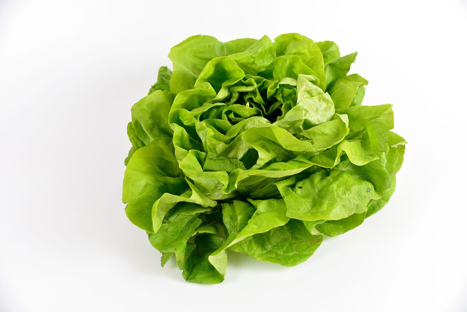 Nikon D5200 sample photo. Salad, green, vegetables photography