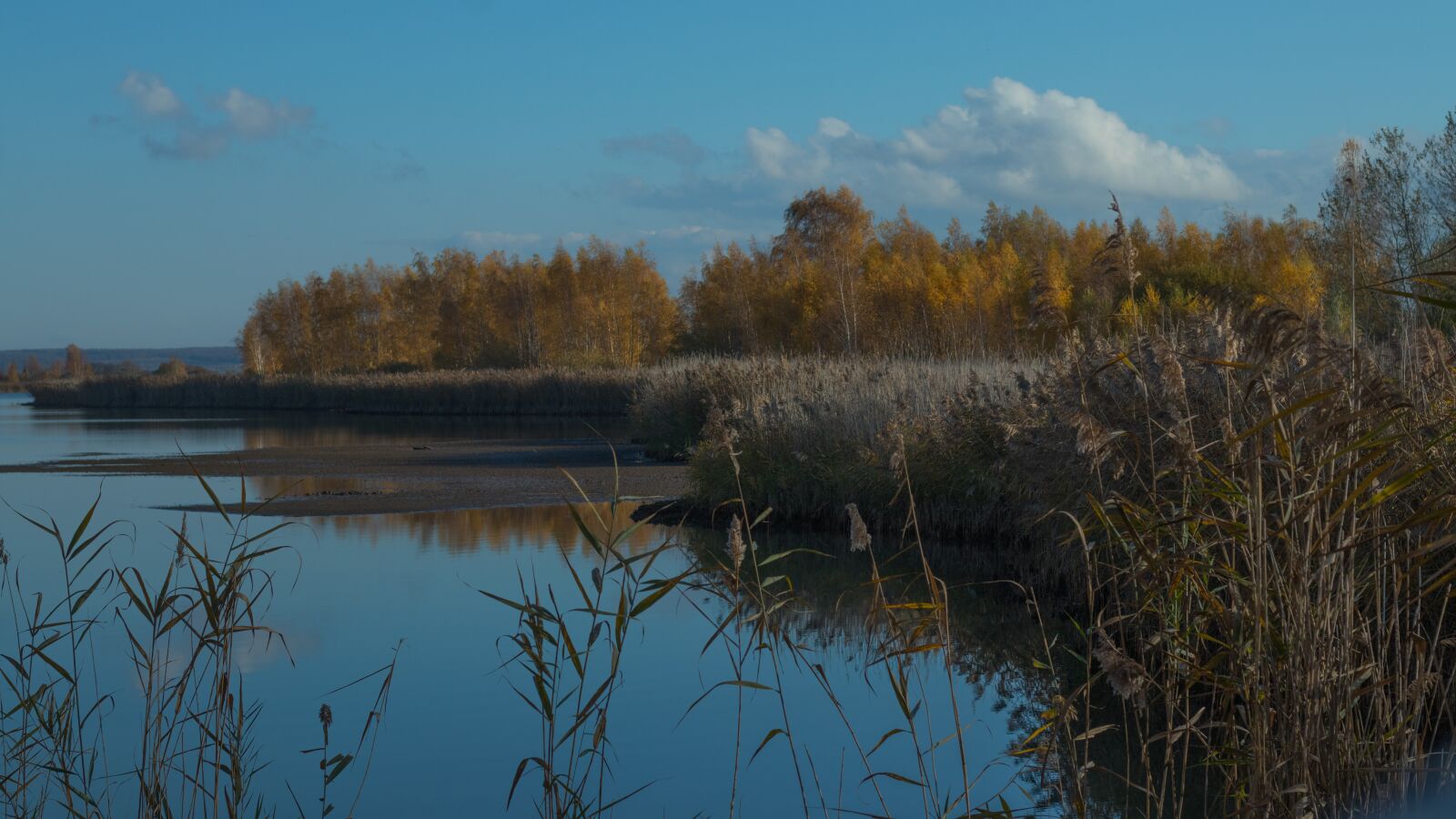 Canon EOS 80D sample photo. Lake, bank, autumn photography