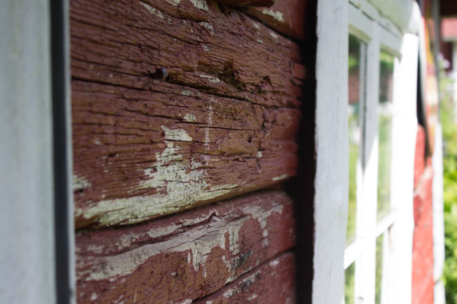 Canon EOS 1100D (EOS Rebel T3 / EOS Kiss X50) sample photo. Natural, age, wood photography