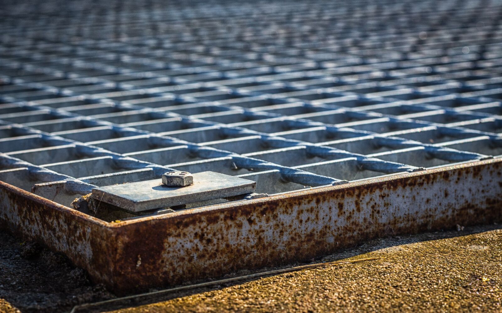 Canon EOS 700D (EOS Rebel T5i / EOS Kiss X7i) sample photo. Grid, sewerage, screw photography