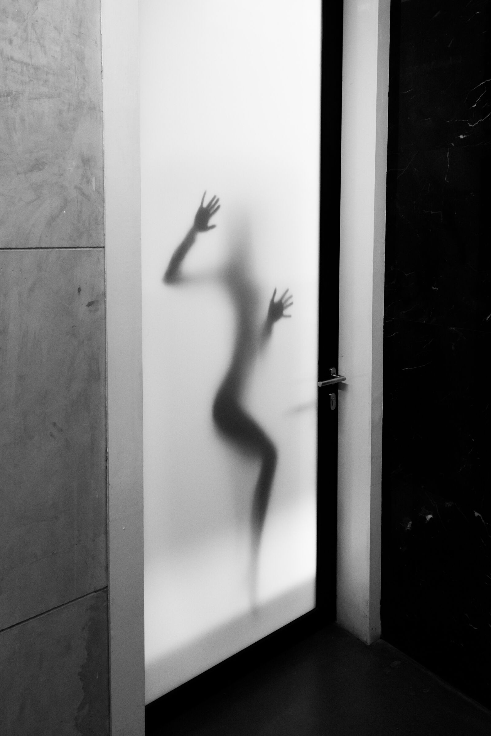 Nikon D750 sample photo. Art, door, frosted door photography