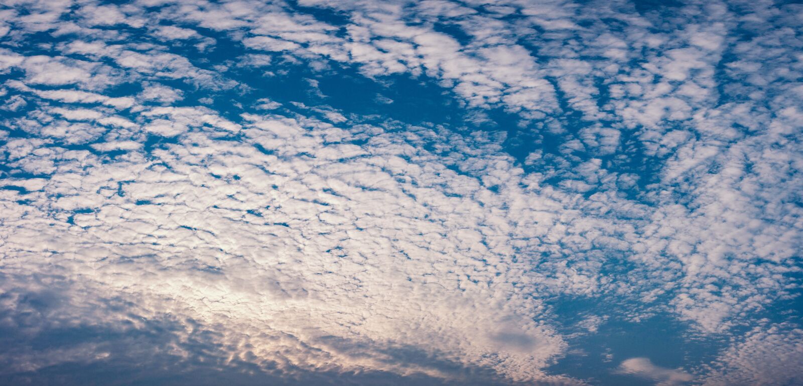 Canon EOS 1300D (EOS Rebel T6 / EOS Kiss X80) sample photo. Sky, cloud, blue photography
