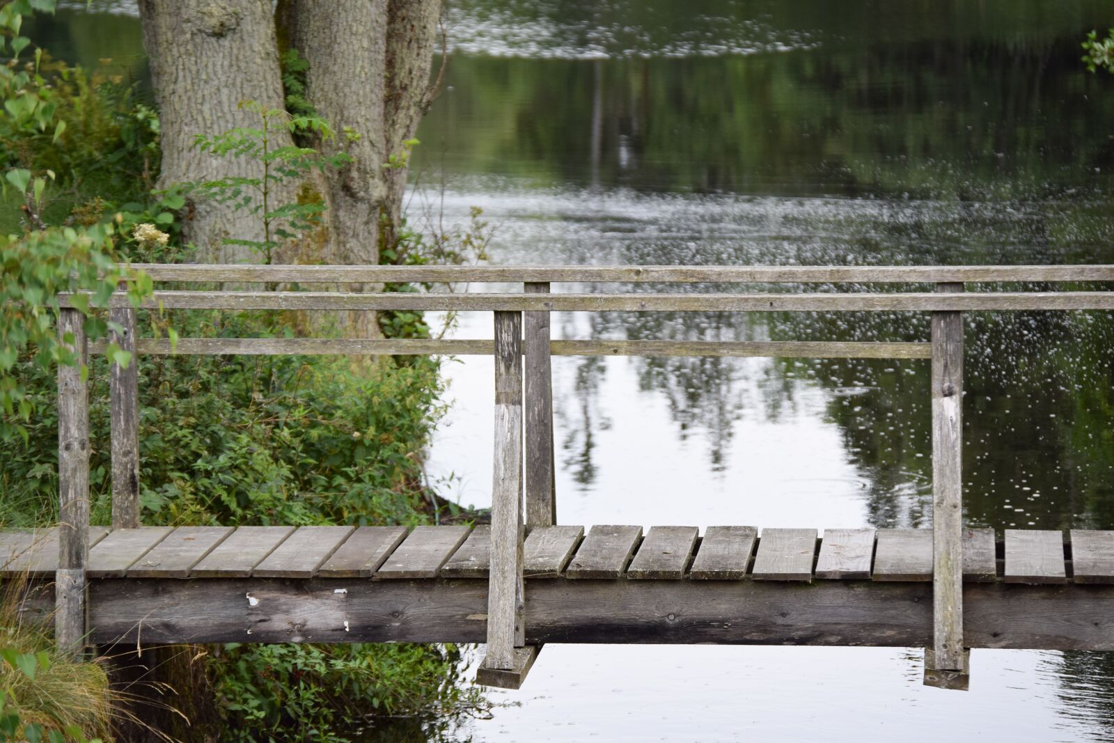 Nikon D3300 sample photo. Bro, å, still photography