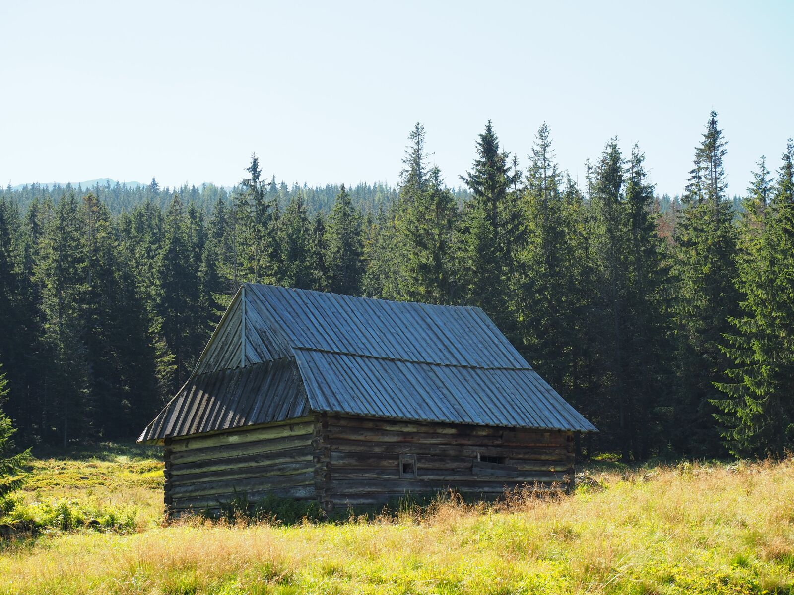 Olympus OM-D E-M5 II + Olympus M.Zuiko Digital ED 12-40mm F2.8 Pro sample photo. Shepherd's hut, landscape, view photography