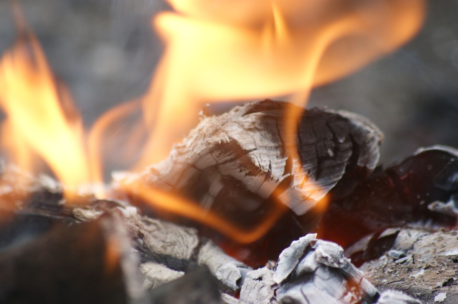 Sony Alpha DSLR-A350 sample photo. Flames, bonfire, fire photography
