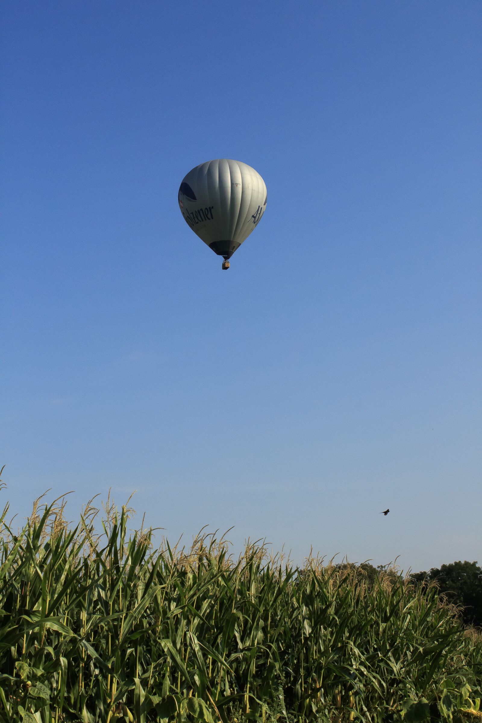 Canon EOS 1300D (EOS Rebel T6 / EOS Kiss X80) sample photo. Balloon, gas tight envelope photography
