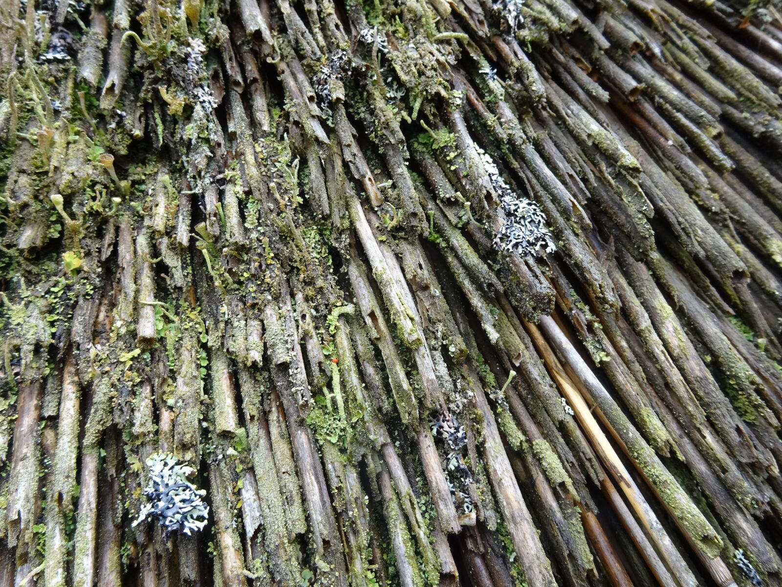 Sony Cyber-shot DSC-WX350 sample photo. Roof, thatched roofs, weave photography