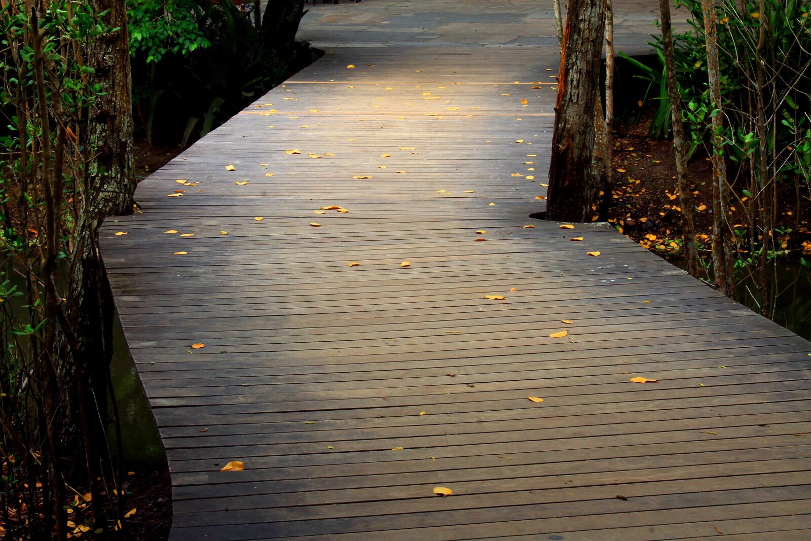 Canon EOS 1100D (EOS Rebel T3 / EOS Kiss X50) sample photo. Bridge, path, passage photography