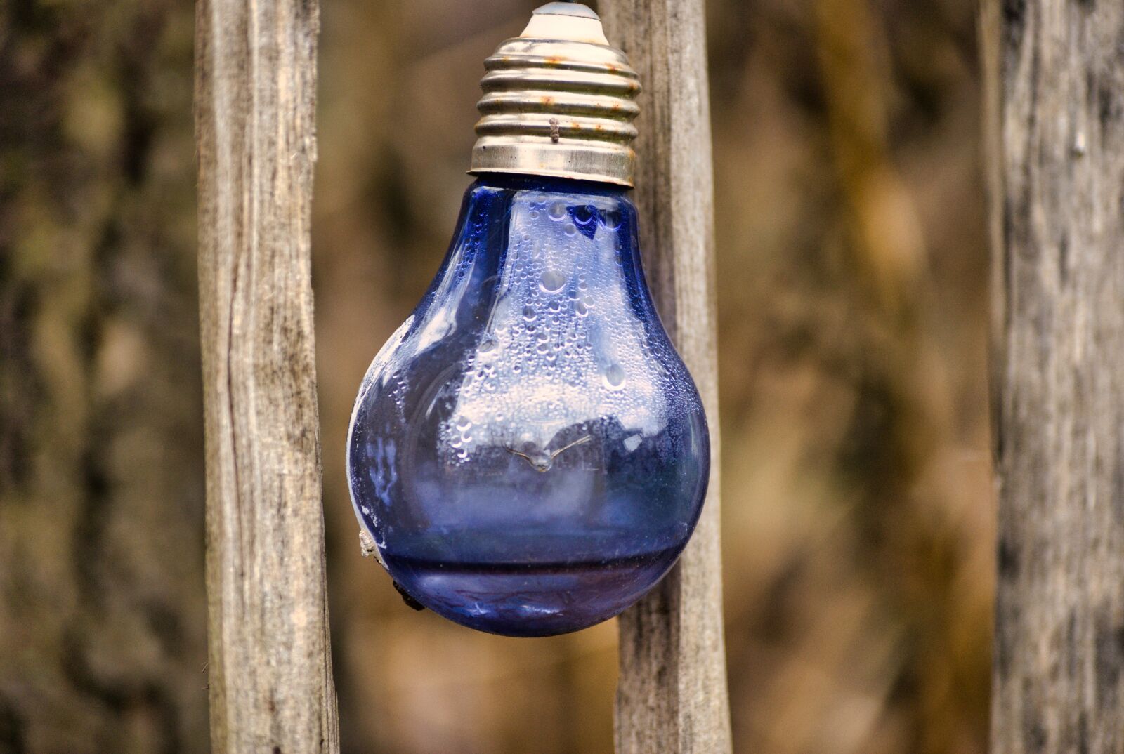 Sony Alpha DSLR-A200 sample photo. Gartendeko, lamp, decoration photography