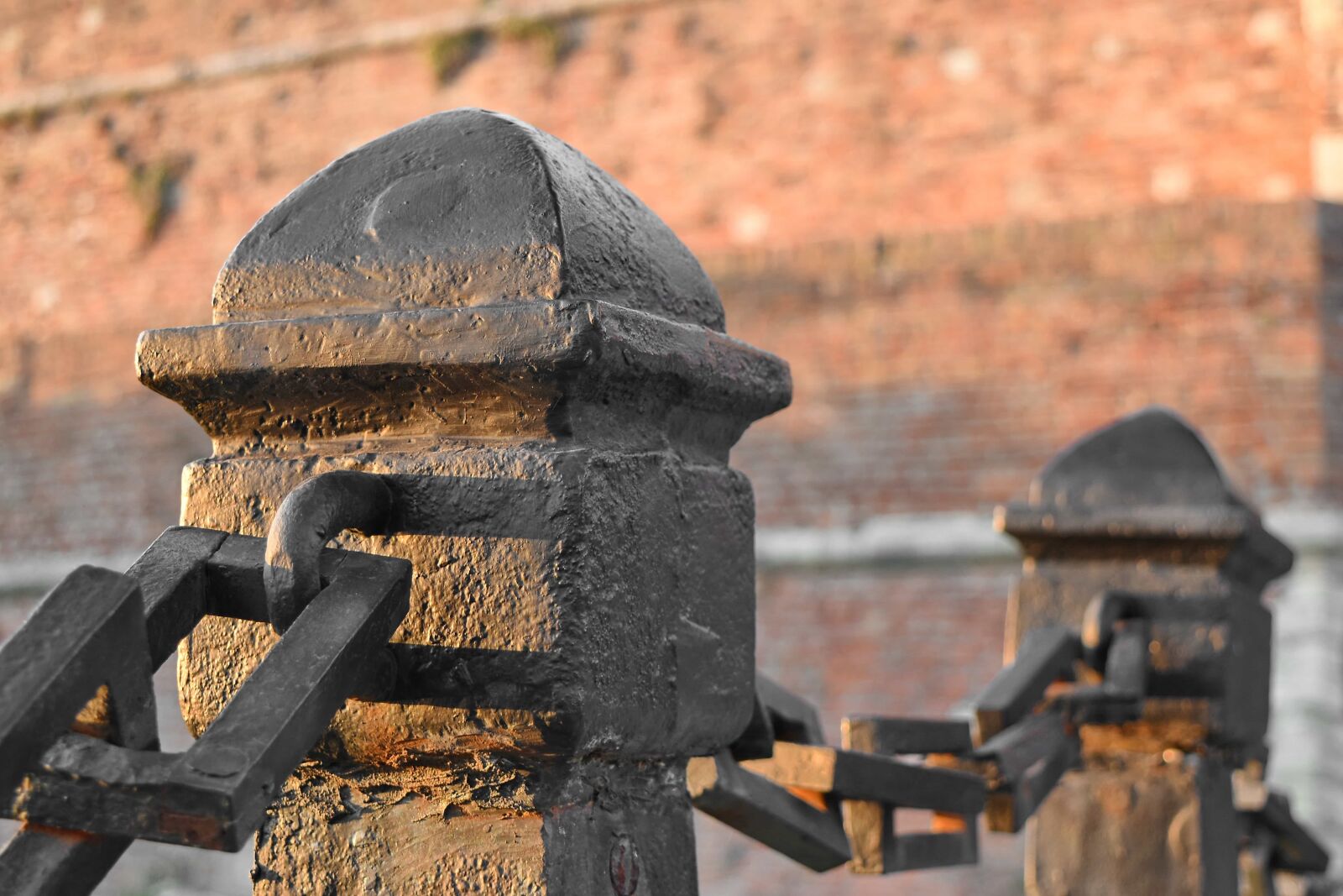Nikon D5500 sample photo. Cast iron, fence, fence photography