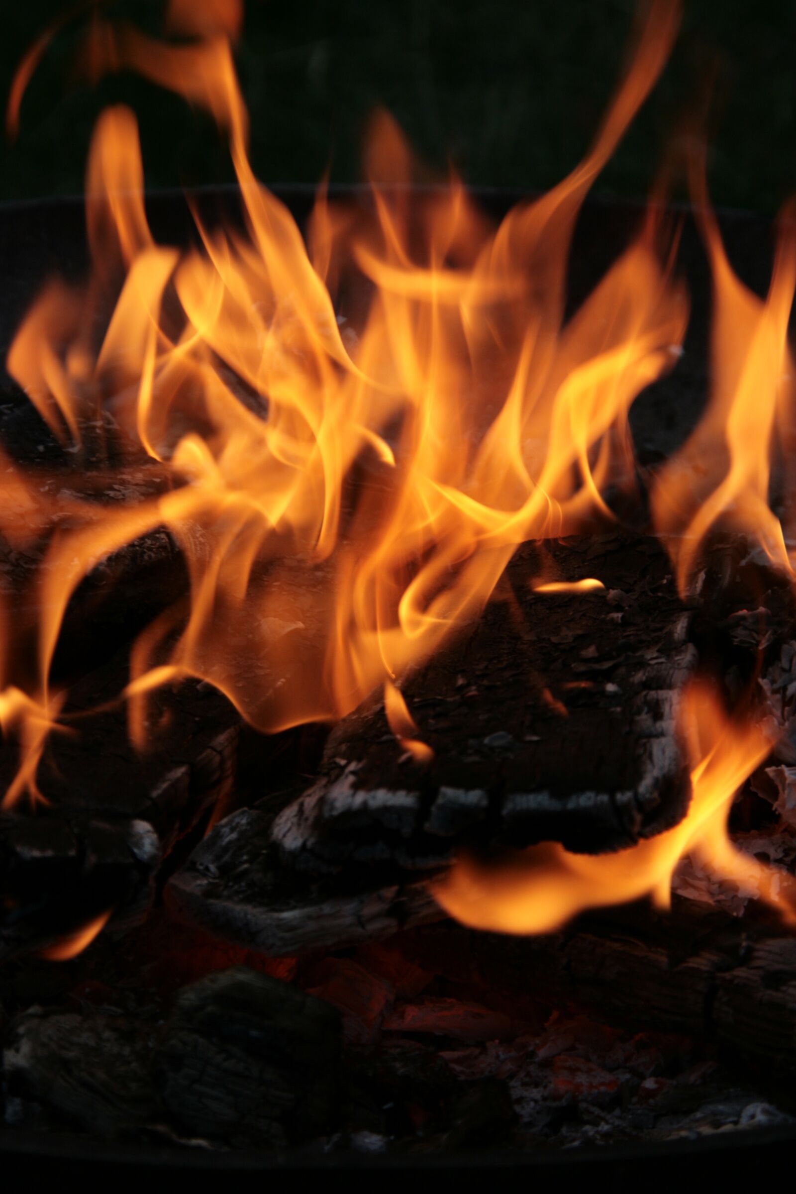 Canon EOS 400D (EOS Digital Rebel XTi / EOS Kiss Digital X) sample photo. Fire, combustion, burn photography