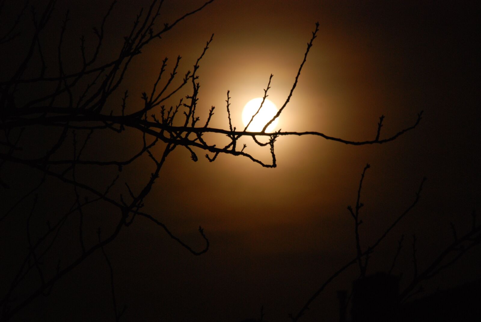 Nikon D80 sample photo. Night, moon, dark photography