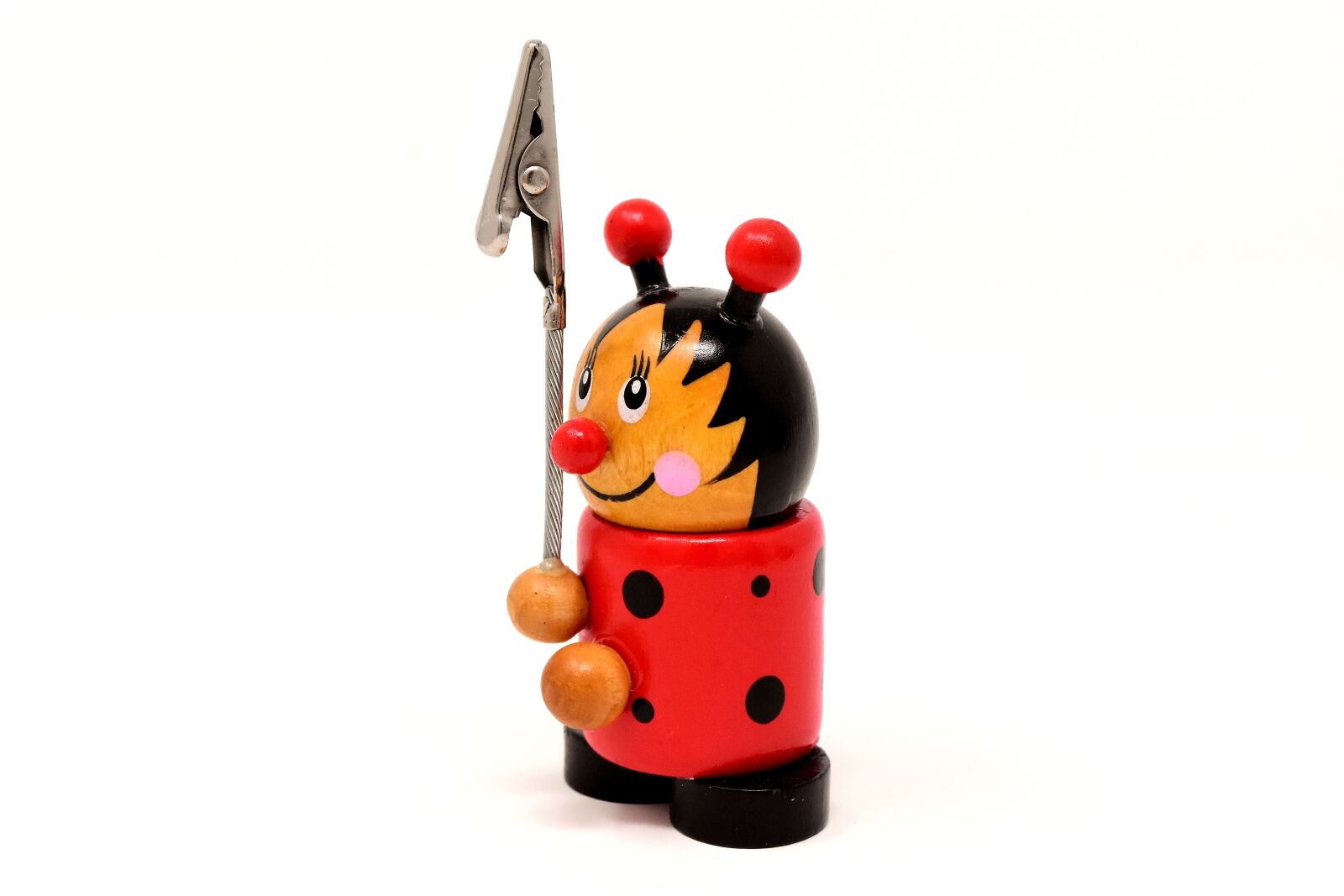 Nikon D7200 sample photo. Note holder, wood, ladybug photography