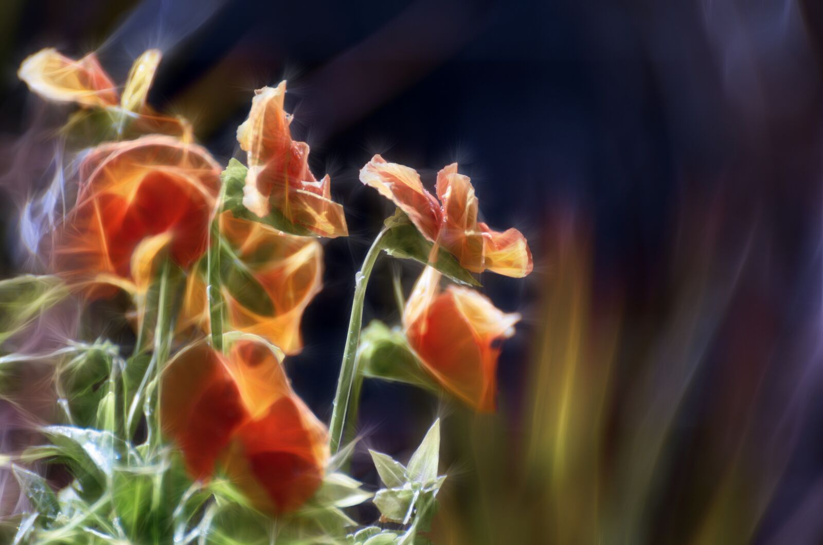 Nikon D7000 sample photo. Desktop, leaf, nature photography