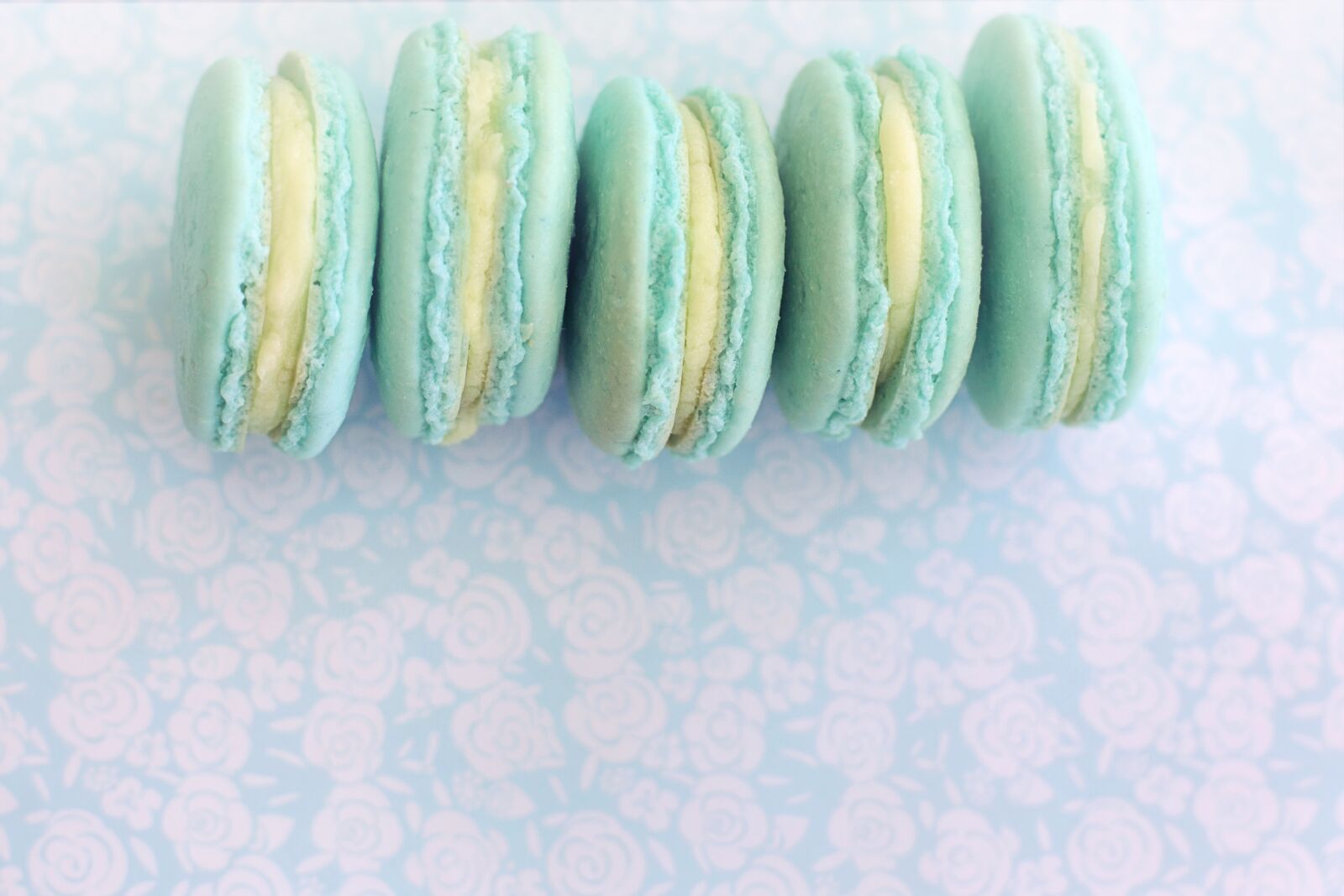 Canon EF 50mm F1.4 USM sample photo. Macarons, pink, aqua photography