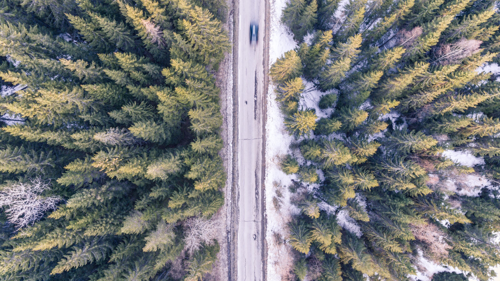 DJI FC330 sample photo. Aerial, automobile, bird, s photography