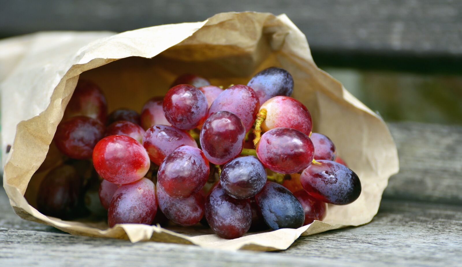 Nikon D5200 sample photo. Berry, paper, fruit, grapes photography