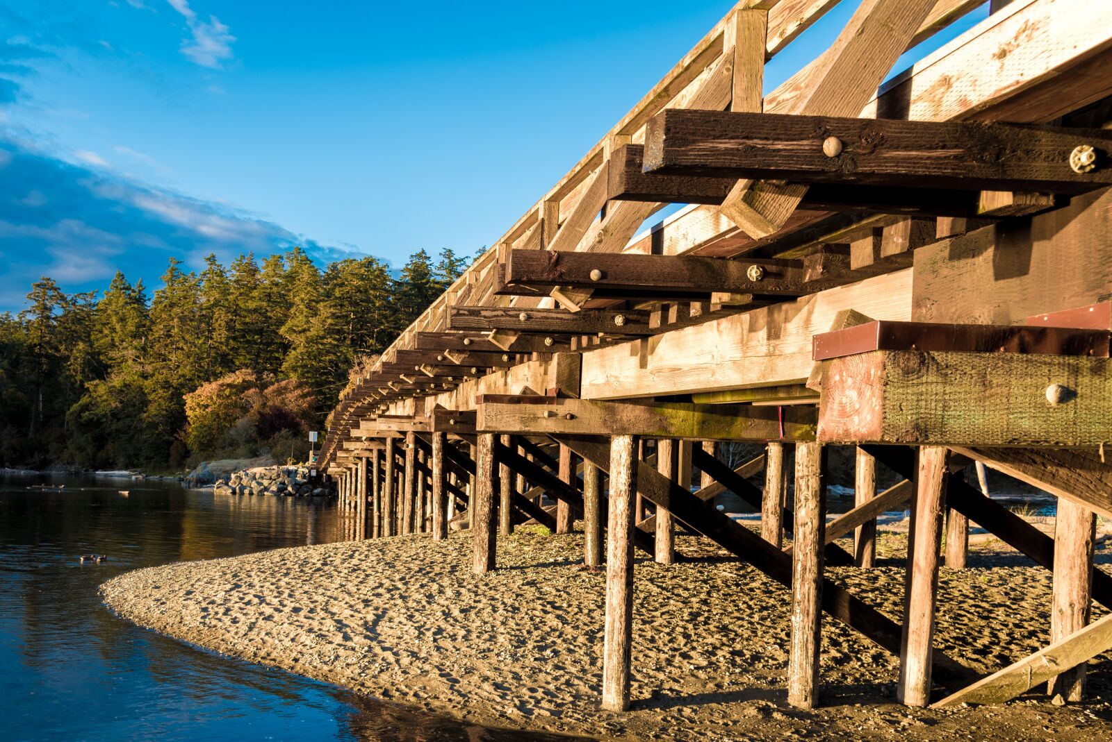 Nikon D750 sample photo. Wooden, bridge, lagoon photography