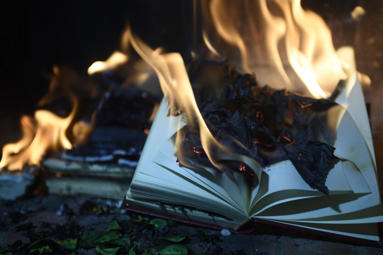 Nikon D750 sample photo. Book, burning, fire photography
