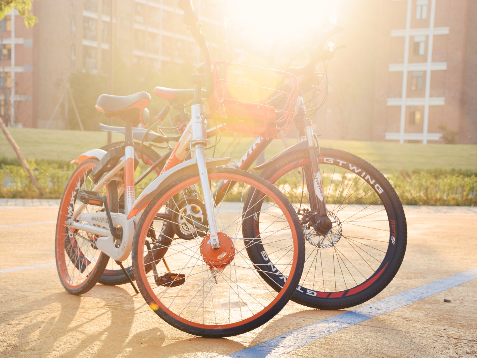 Nikon D3300 sample photo. Campus, bike, sunshine photography