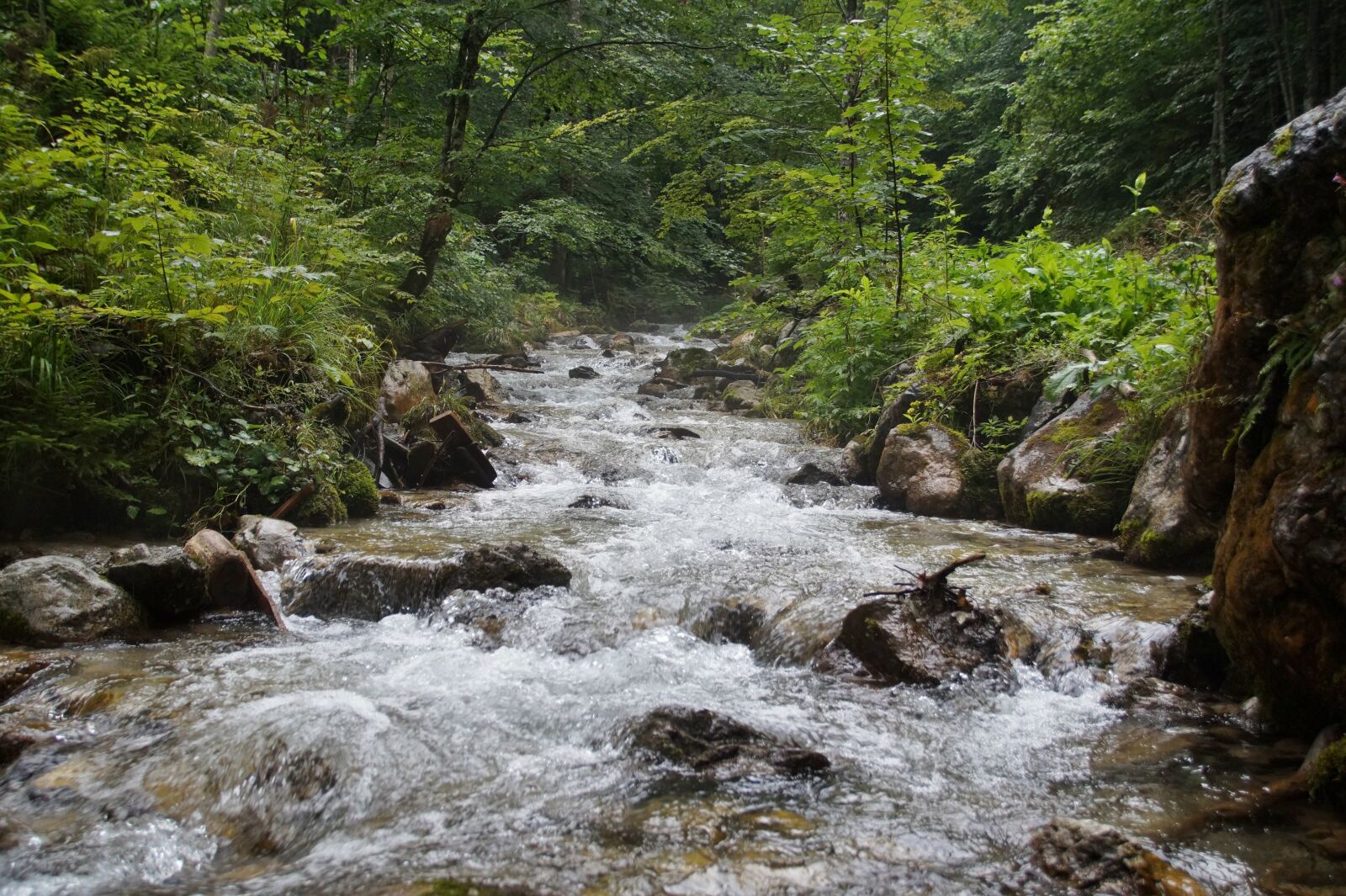 Sony SLT-A58 sample photo. Alps, austria, defile photography