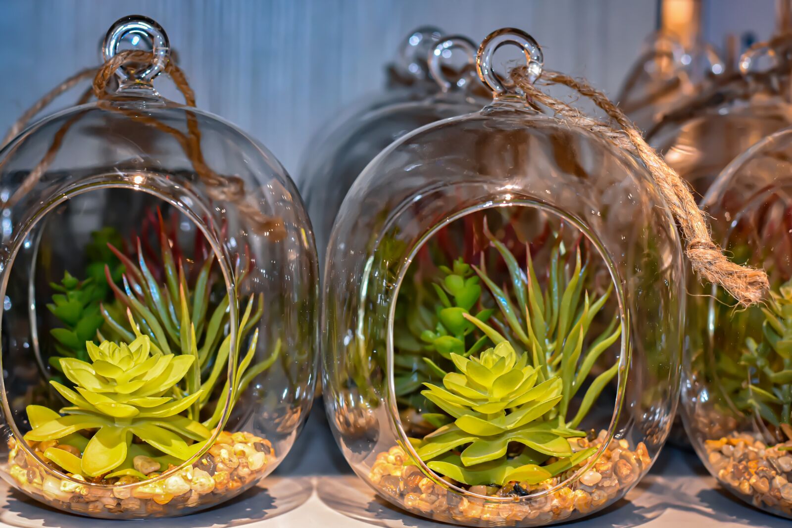 Nikon D7200 sample photo. Glass, plant, artificial plants photography