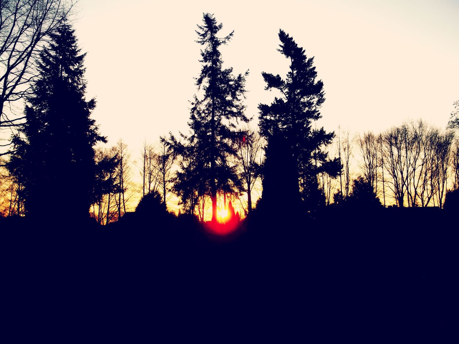 Kodak EASYSHARE C195 DIGITAL CAMERA sample photo. Silhouette, nature, landscape photography