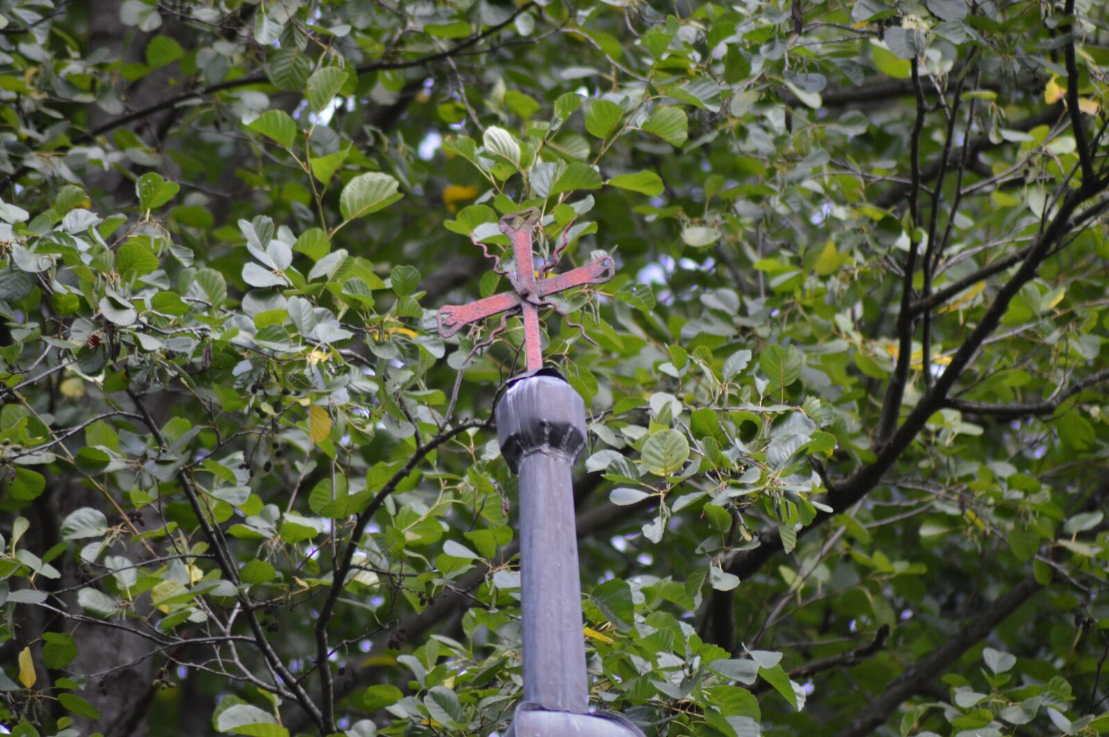 Nikon D3200 sample photo. Chapel, poland, g recko photography