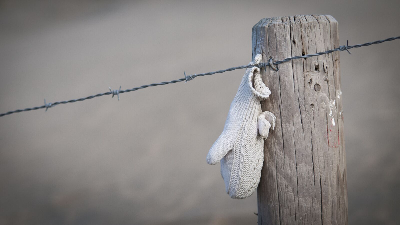 Nikon D300 sample photo. Beach, winter, glove photography