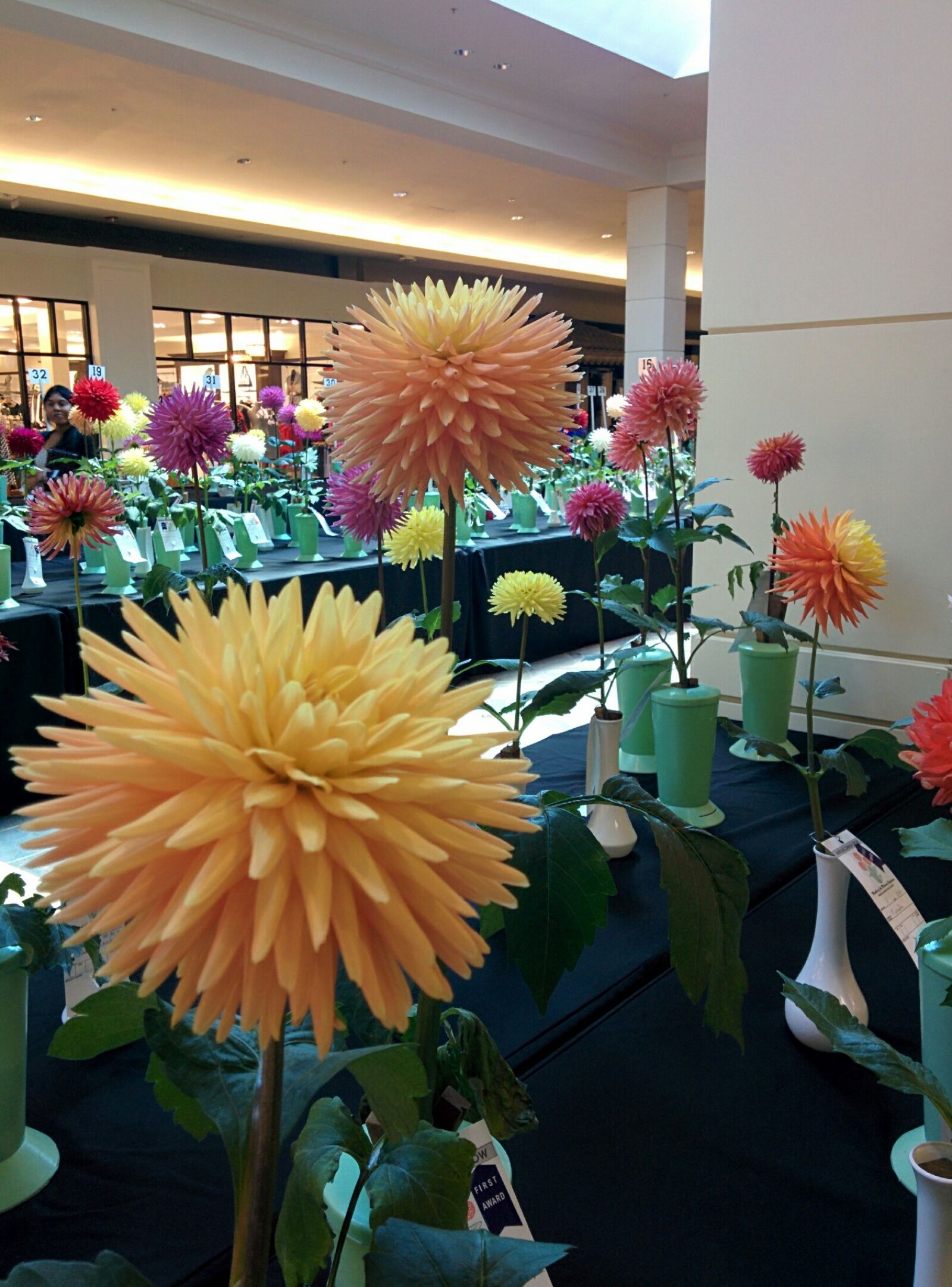 LG Nexus 5 sample photo. View, of, orchids photography