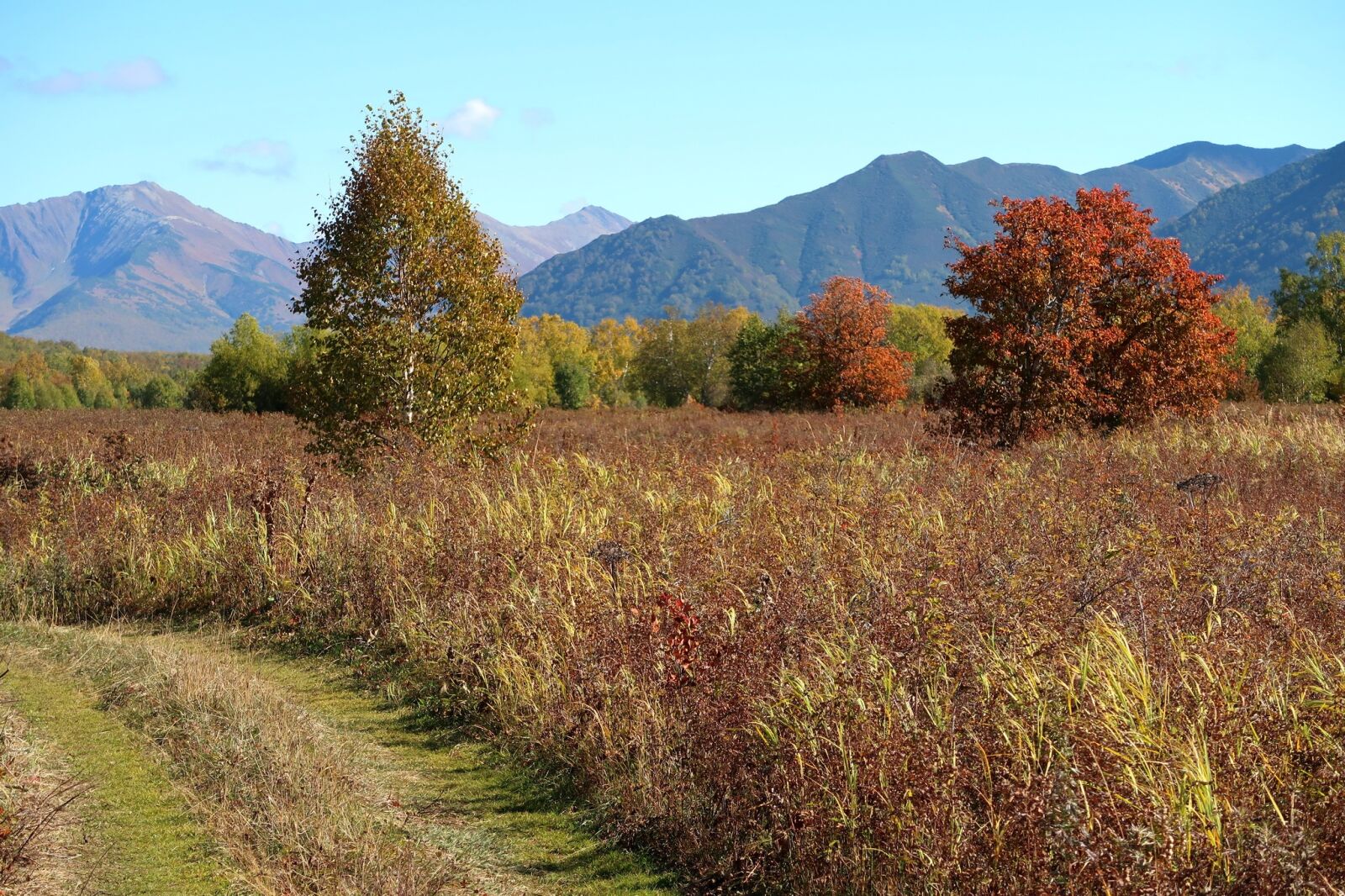 Canon PowerShot G7 X Mark II sample photo. Autumn, mountains, forest photography