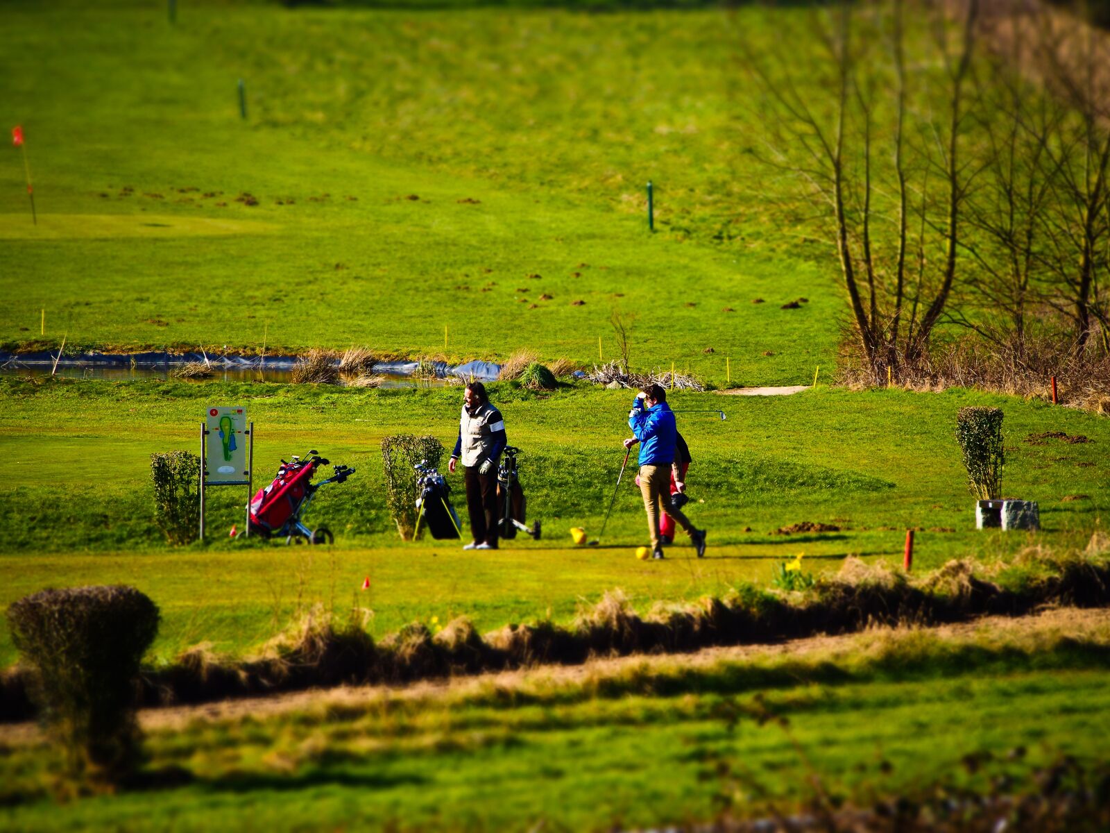 Olympus OM-D E-M10 sample photo. Golf, golfers, green photography