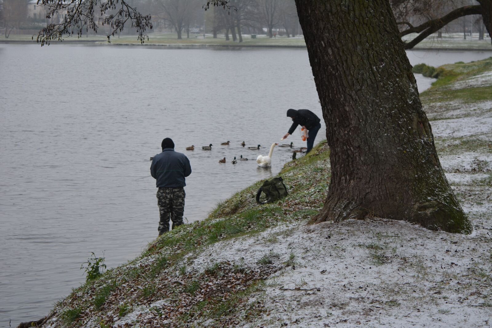 Nikon D5200 sample photo. Fishermen feeding birds, fishermen photography