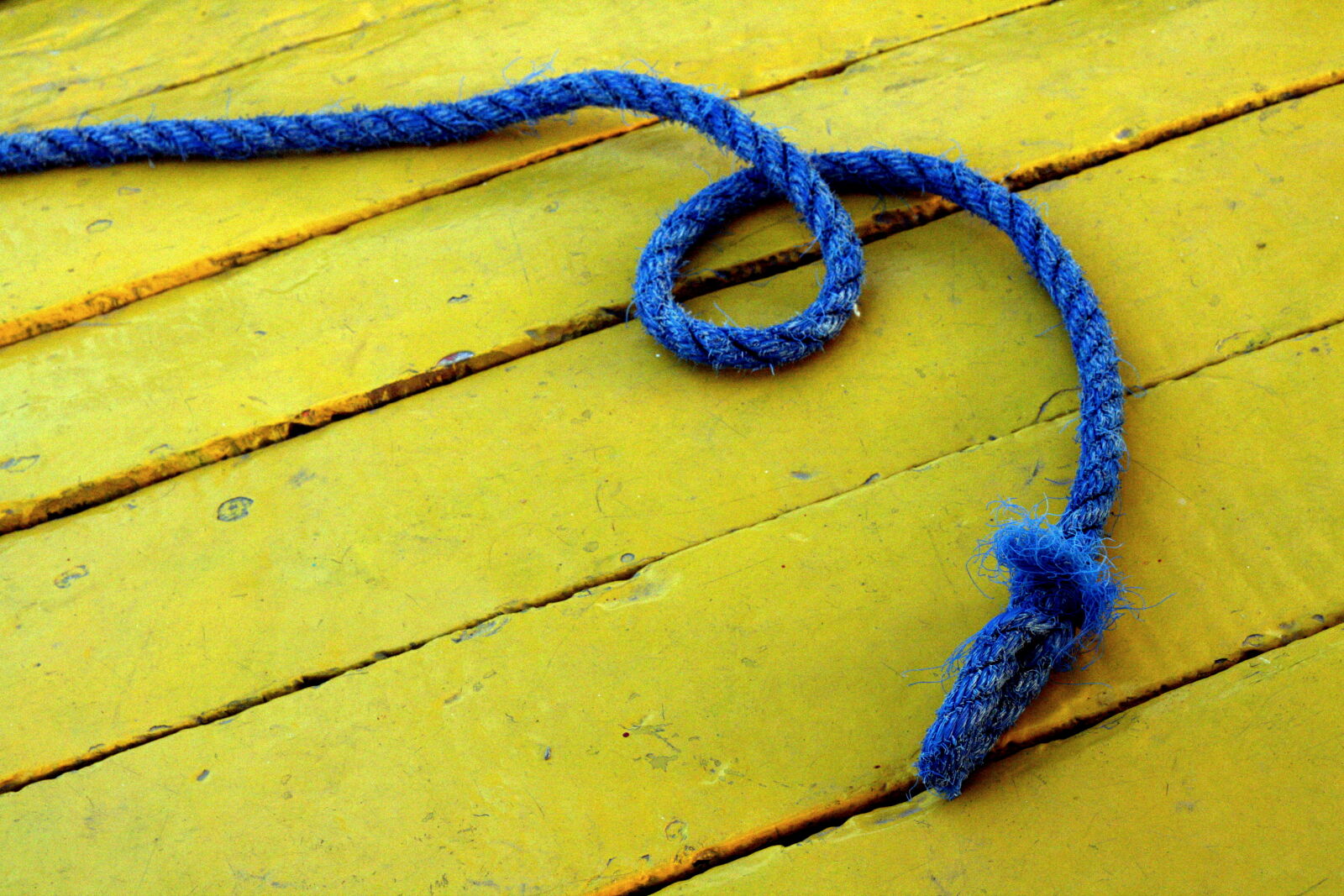 Canon EOS 1000D (EOS Digital Rebel XS / EOS Kiss F) + Canon EF 50mm F1.8 II sample photo. Wood, blue, yellow, abstract photography