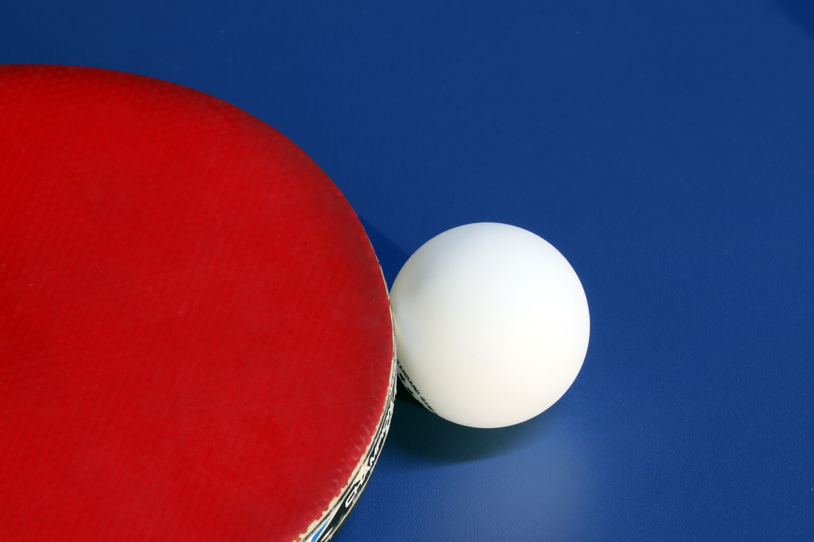 Canon EOS 800D (EOS Rebel T7i / EOS Kiss X9i) sample photo. Table tennis, sport, games photography