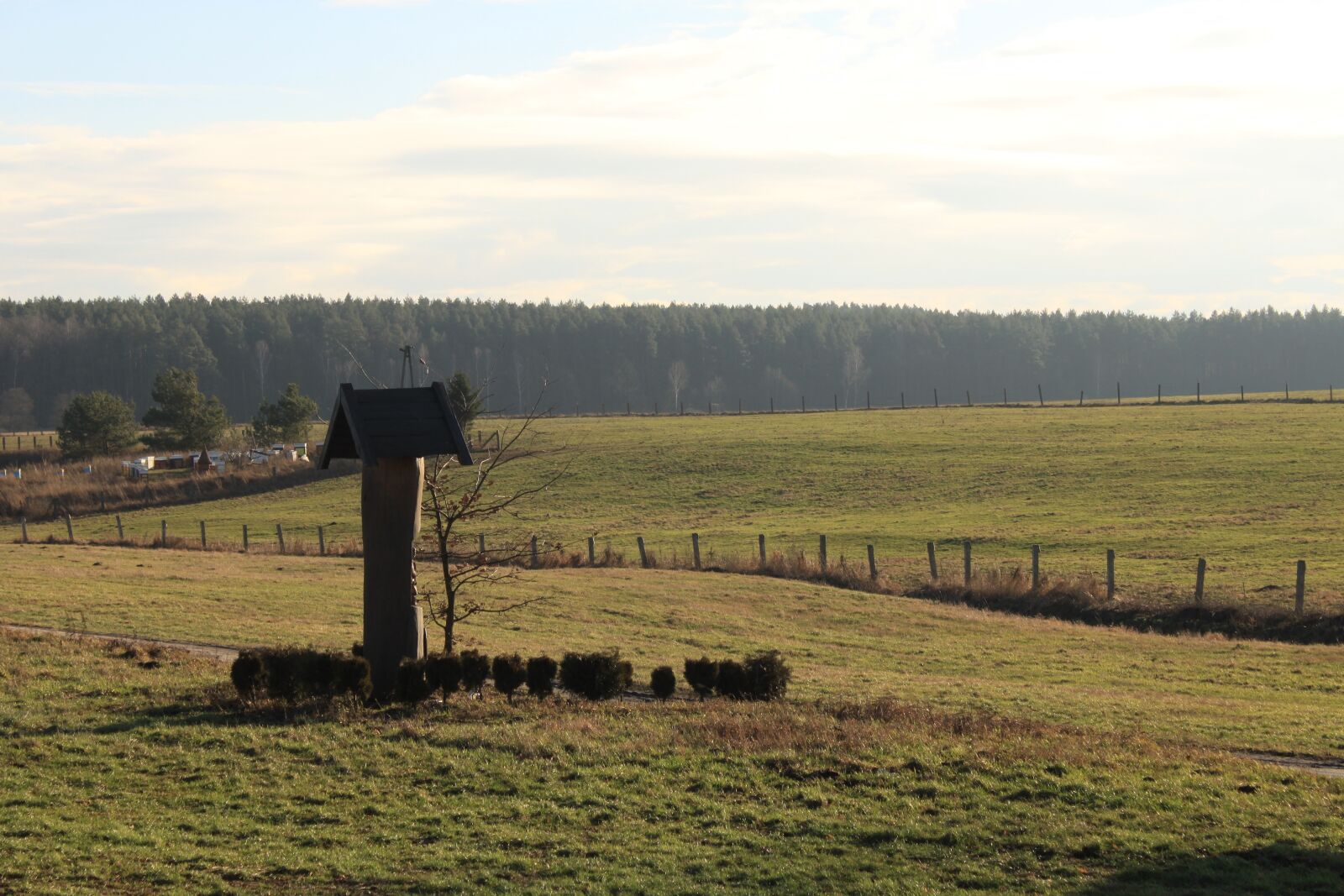 Canon EOS 500D (EOS Rebel T1i / EOS Kiss X3) sample photo. Landscape, agriculture, field photography