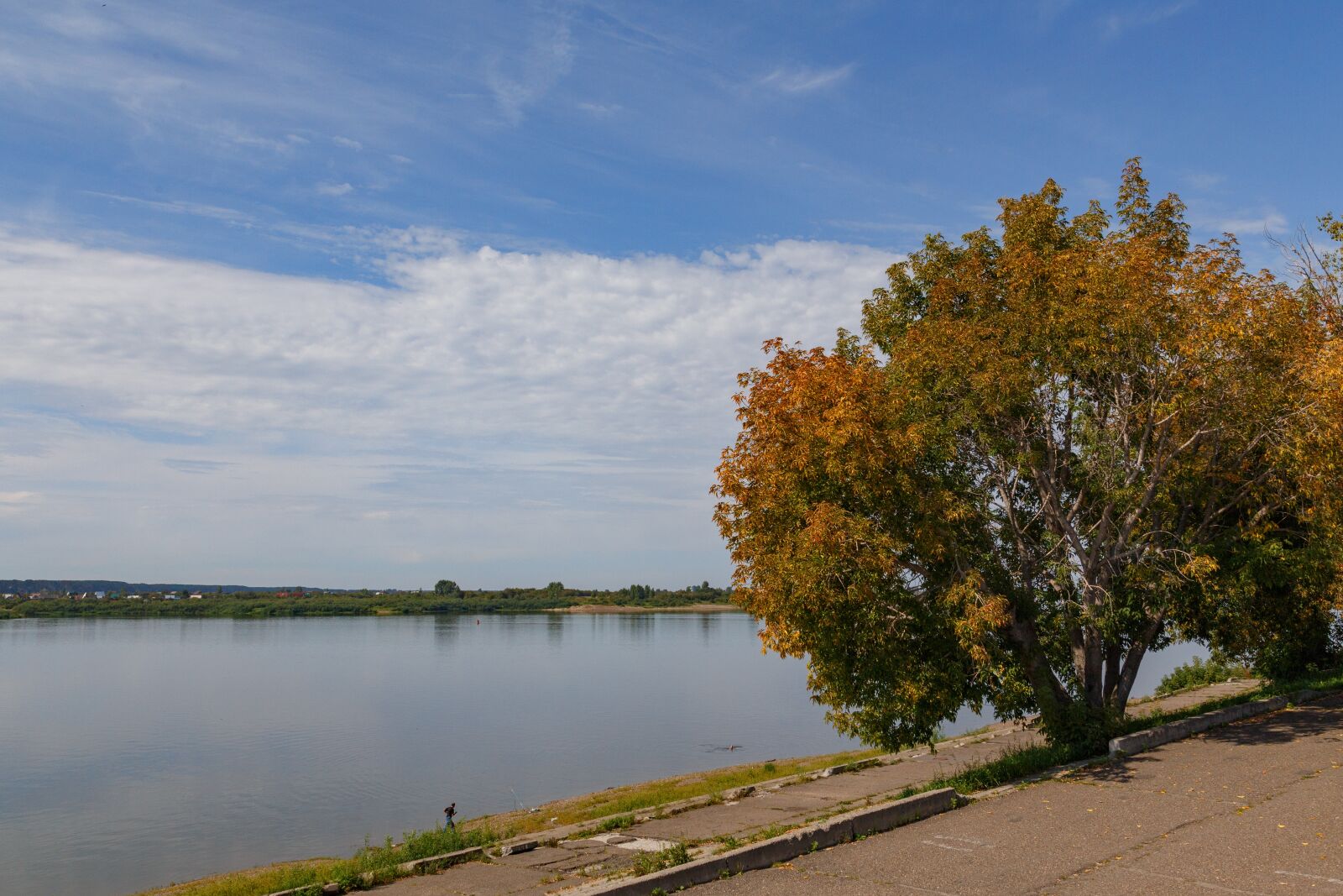 Canon EOS 6D + Canon EF 24-105mm F4L IS USM sample photo. River, sky, tree photography