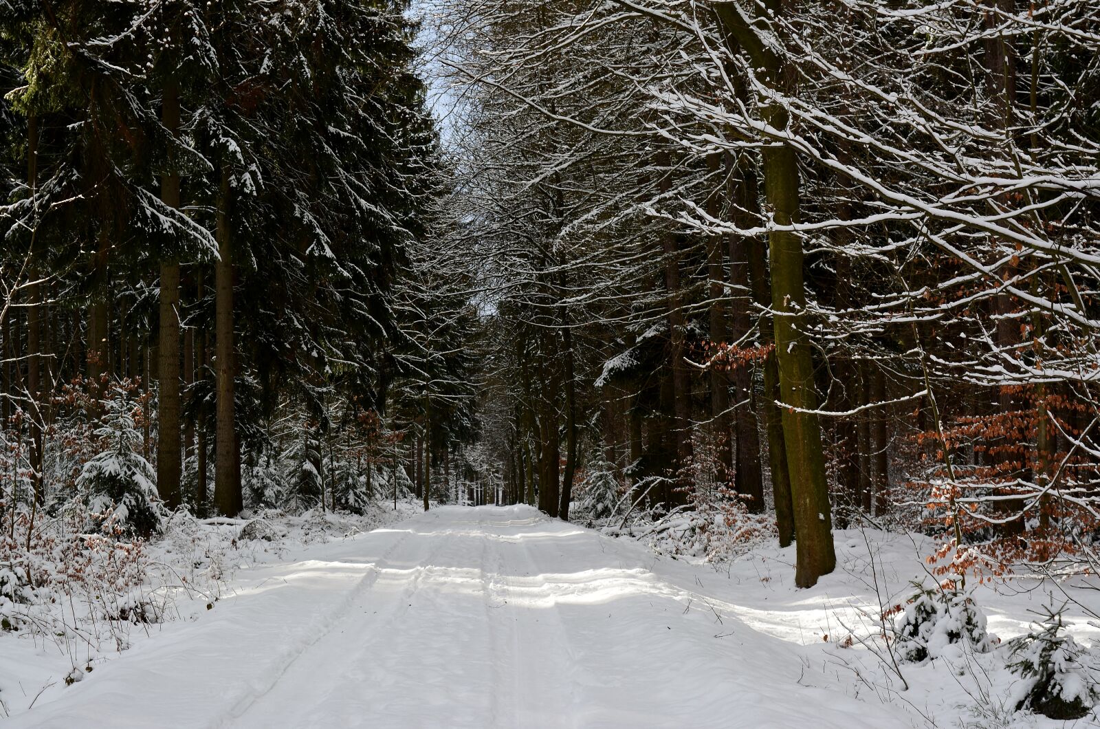 Nikon D5200 sample photo. Snow, winter, cold photography