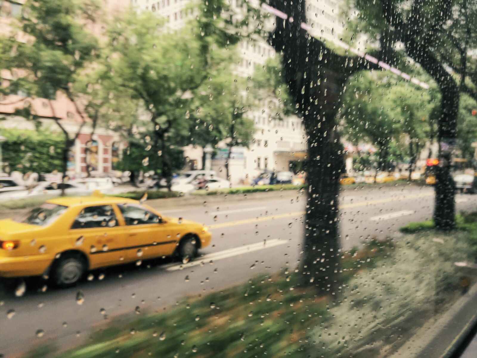 Apple iPhone 6 sample photo