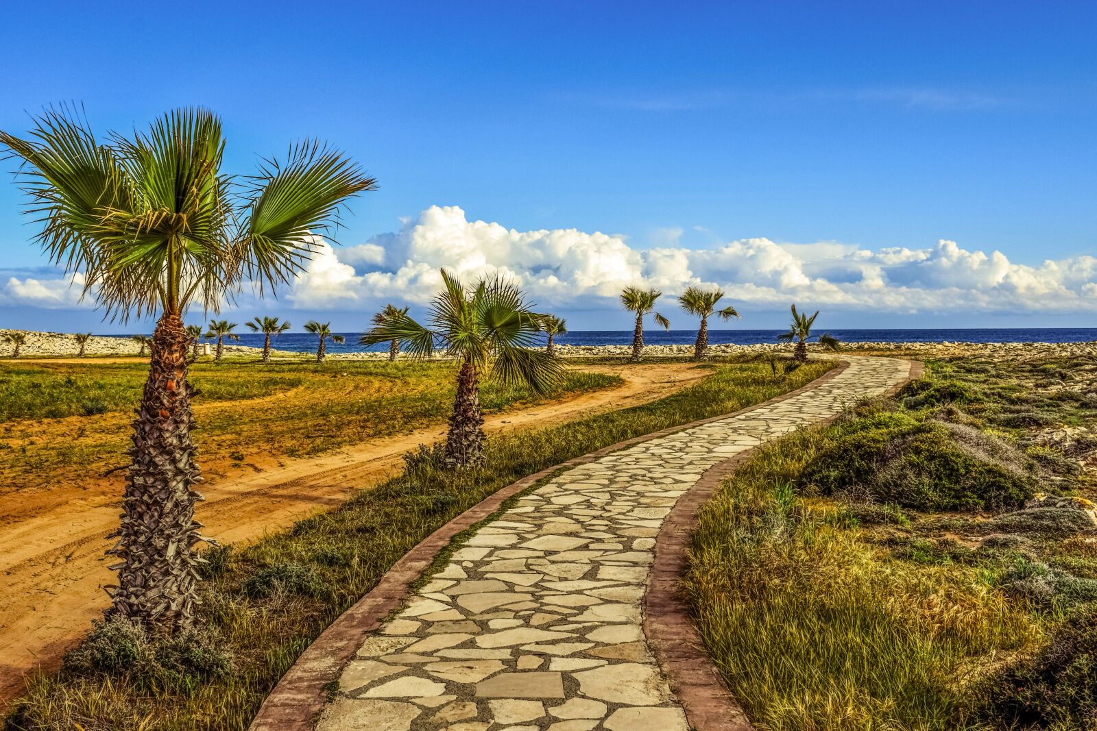 Nikon D3300 sample photo. Coastal path, palm trees photography