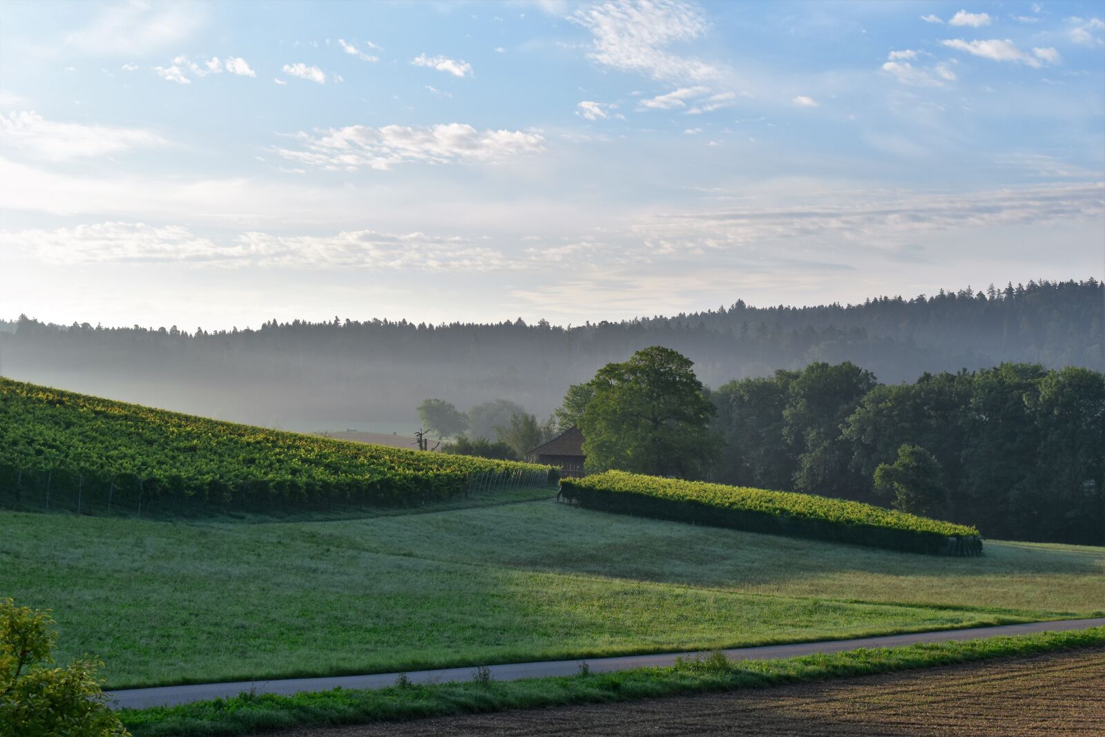 Nikon D5500 sample photo. Landscape, view, sunrise photography