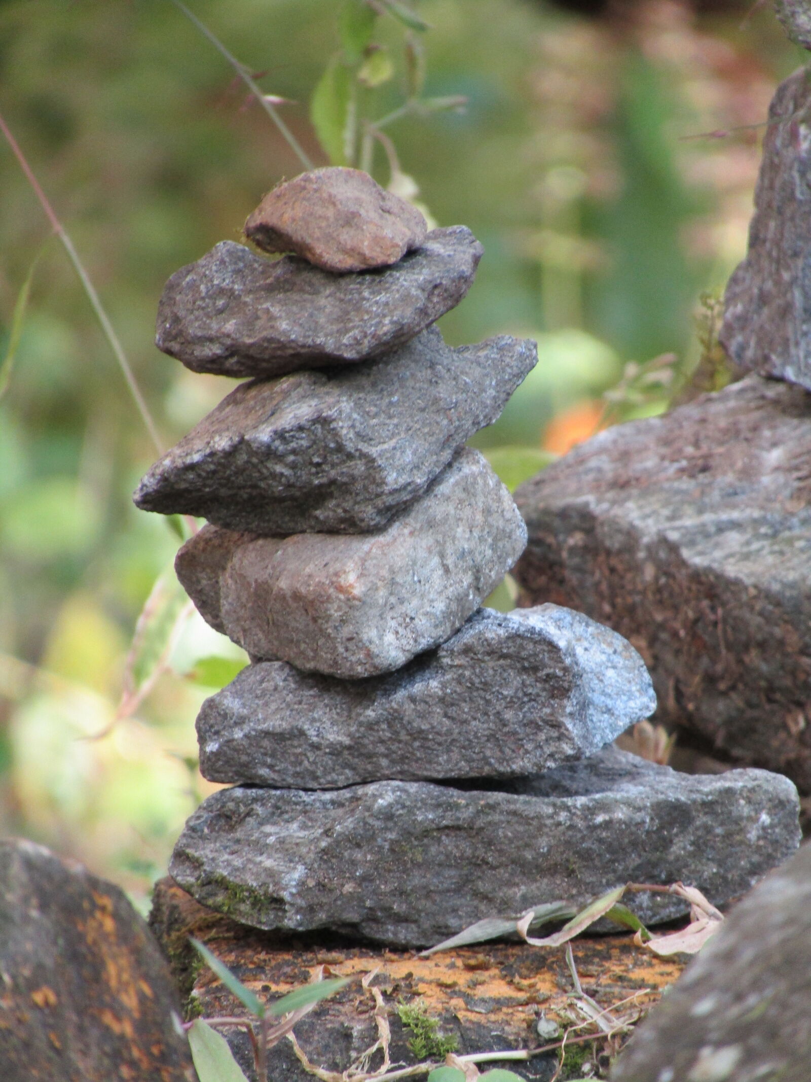 Canon PowerShot SX410 IS sample photo. Close, up, of, stack photography