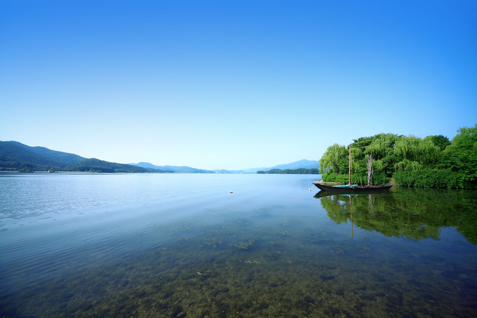 Canon EOS 5D sample photo. Two water head, river photography