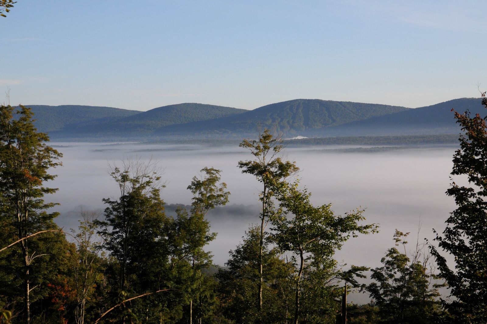 Nikon D300S sample photo. Fog, mountains, trees, hills photography