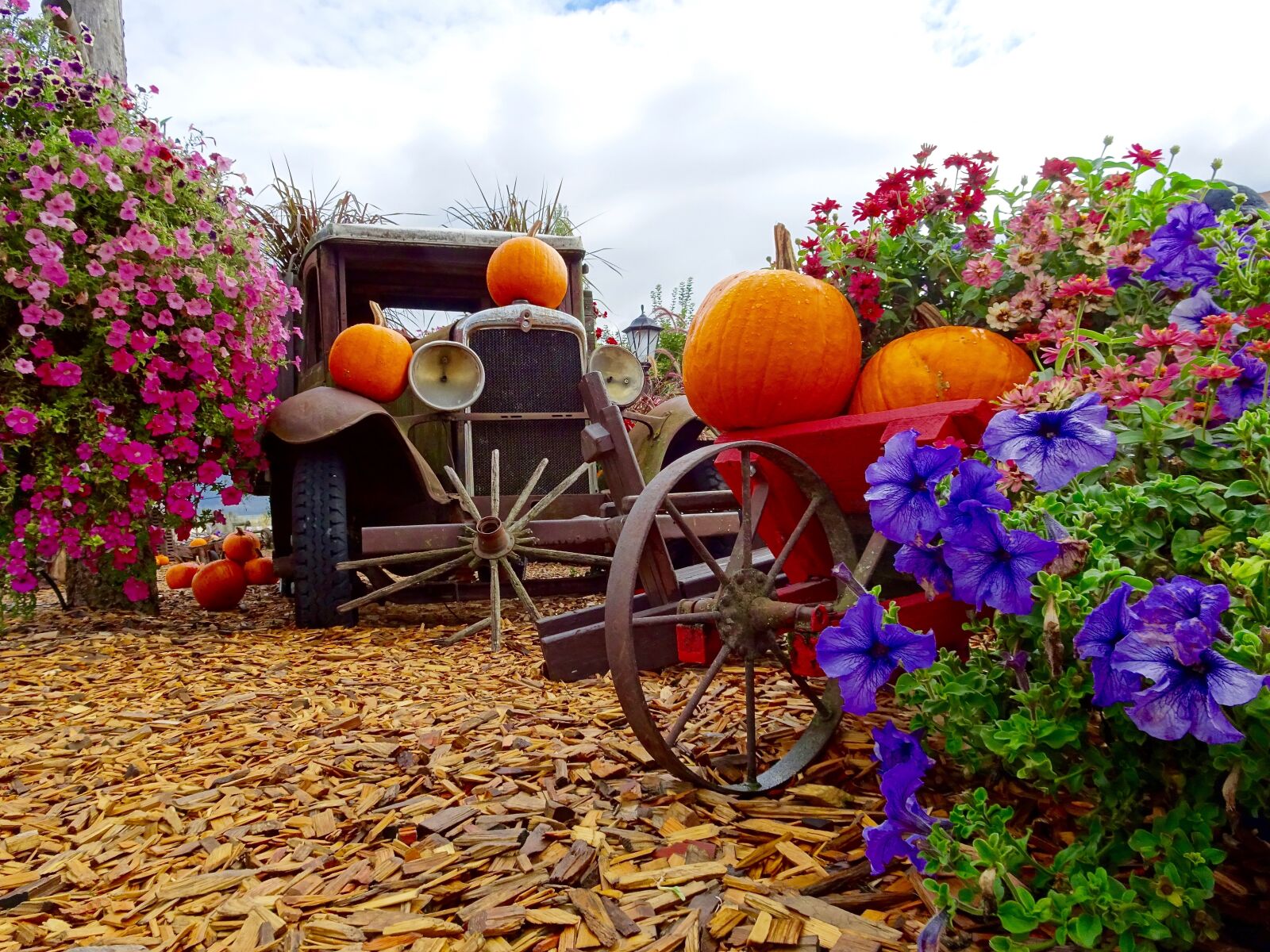 Sony Cyber-shot DSC-HX90V sample photo. Truck, pumpkins, flowers photography