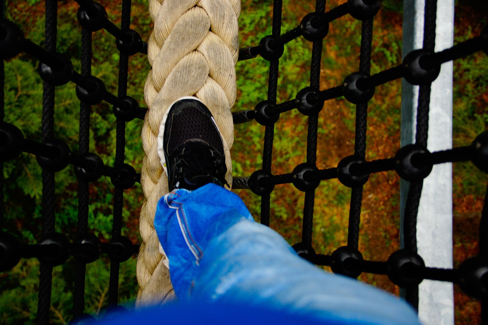 Sony SLT-A77 sample photo. Height, shoe, rope photography