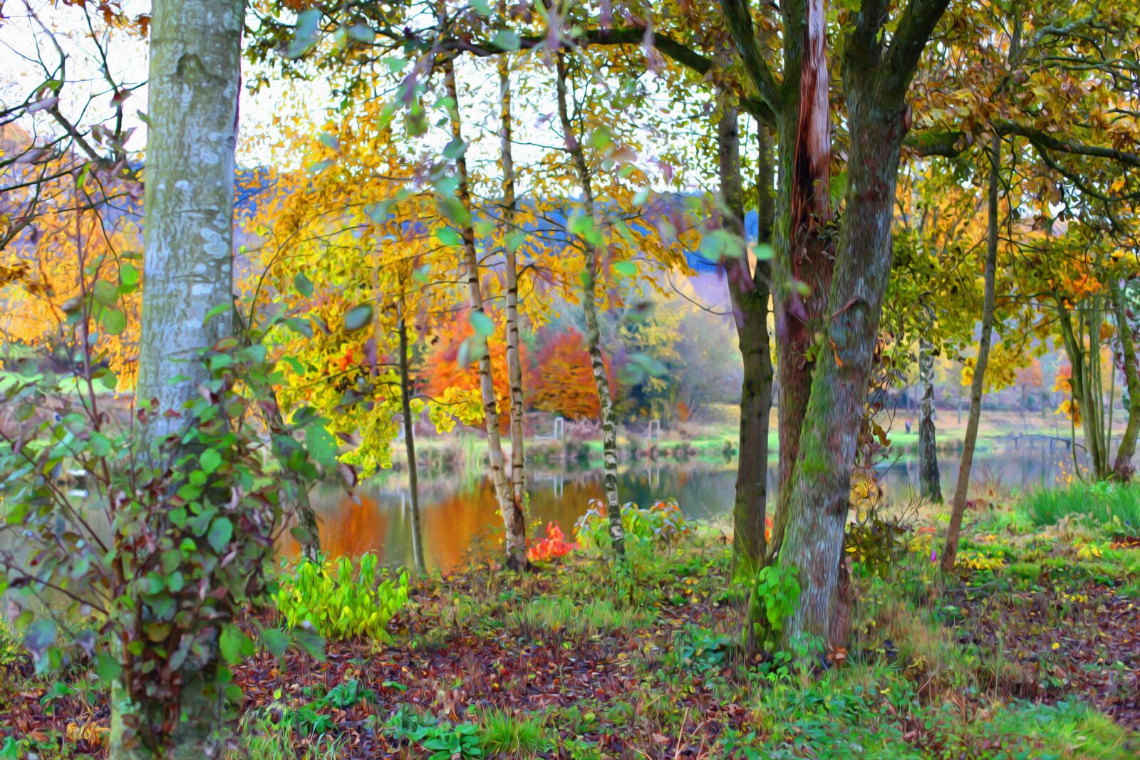 Canon EOS 5D Mark II sample photo. Nature, fall, trees photography