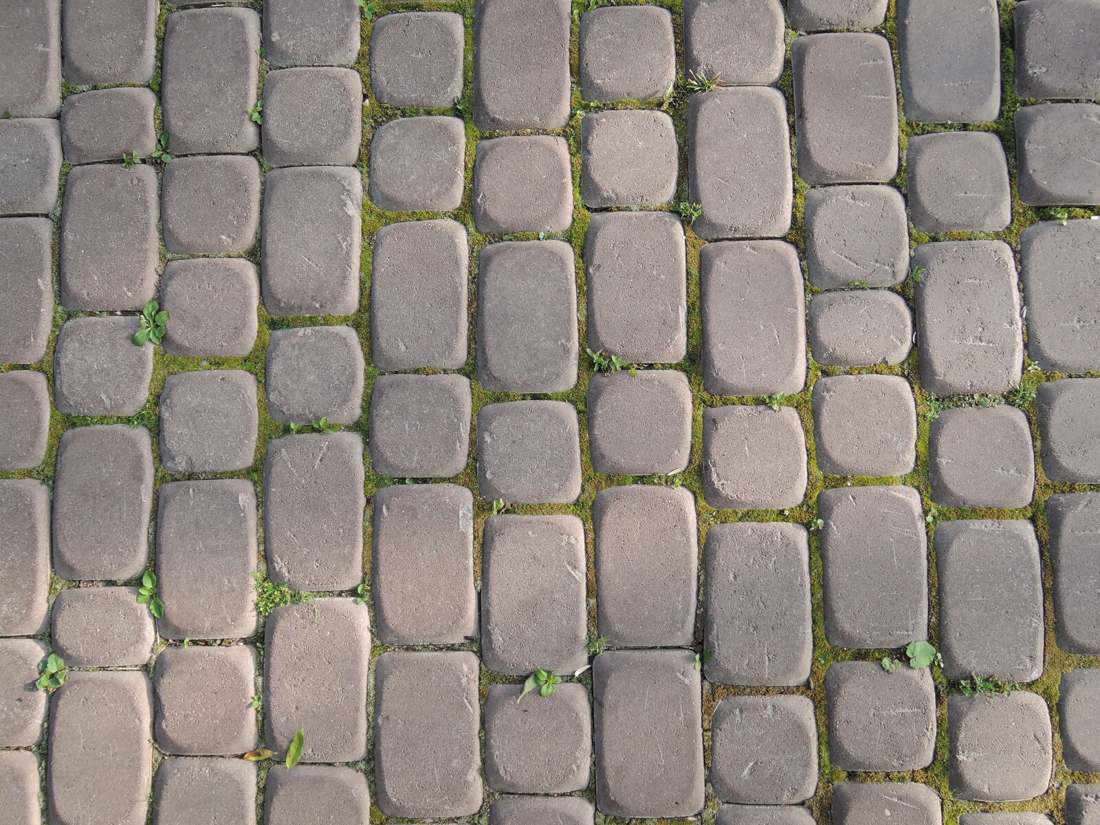 Nikon Coolpix P330 sample photo. Bricks, bricks, texture, road photography